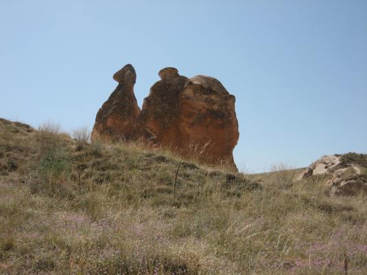 the resting camel rock formation